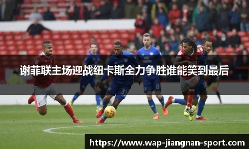 谢菲联主场迎战纽卡斯全力争胜谁能笑到最后